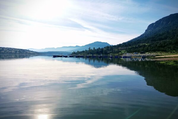 9aeb8366-6ace-4e78-9c86-87132f74b188