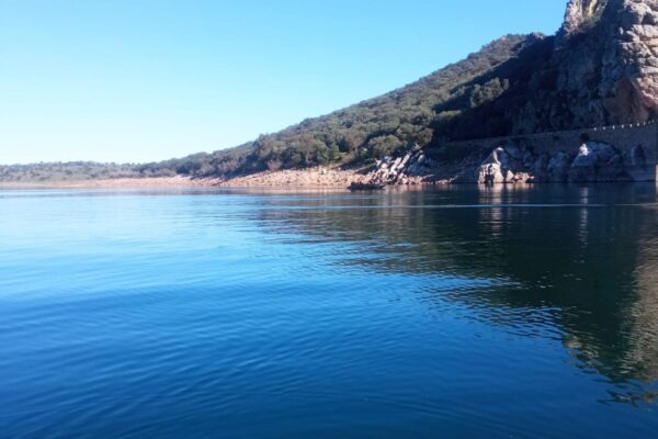 WhatsApp-Image-2025-04-04-at-14.36.42