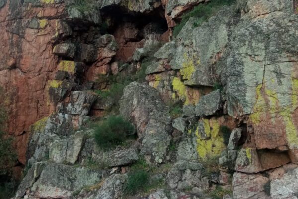 WhatsApp-Image-2025-04-04-at-14.37.41-1