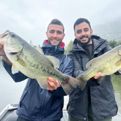 WhatsApp-Image-2025-04-11-at-12.56.17