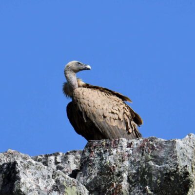 WhatsApp-Image-2025-05-07-at-21.03.10-1