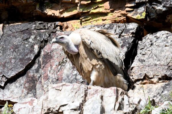 WhatsApp-Image-2025-05-07-at-21.03.10-3