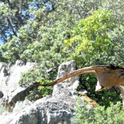 WhatsApp-Image-2025-05-07-at-21.03.10-4