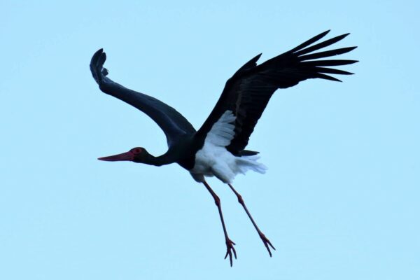 WhatsApp-Image-2025-05-07-at-21.03.11-1