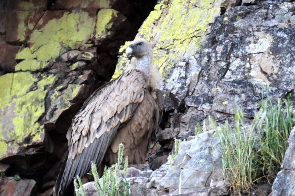 WhatsApp-Image-2025-05-07-at-21.03.11-2