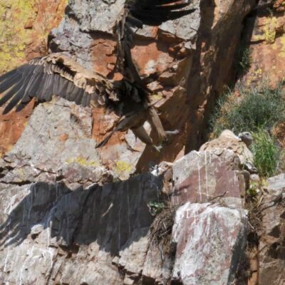 WhatsApp-Image-2025-05-07-at-21.03.11