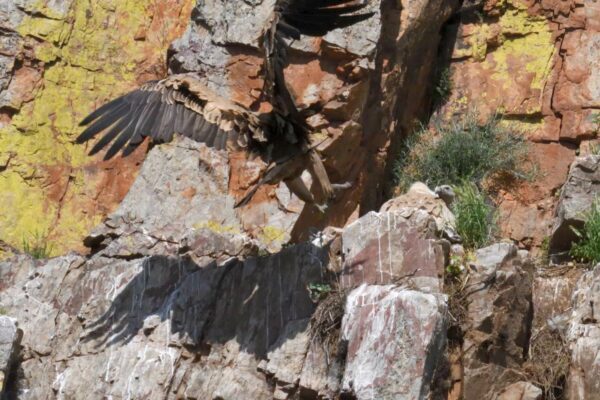 WhatsApp-Image-2025-05-07-at-21.03.11