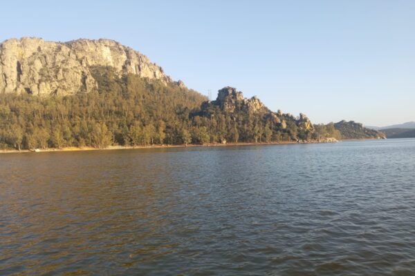 b60eca0f-79b1-4503-865c-472eecb909f6