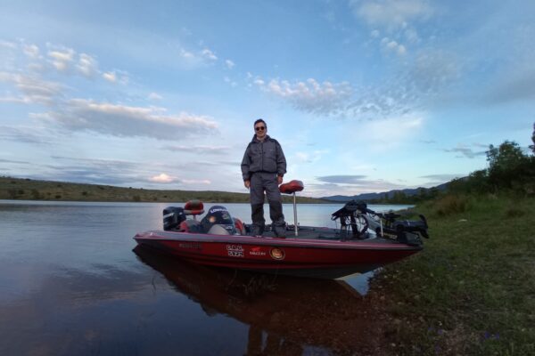 cfa0dab2-347d-45cc-a061-85f7cc4144a6