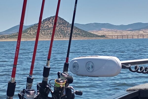 d1b05013-f4d6-4a3f-b299-f1e3513afc38