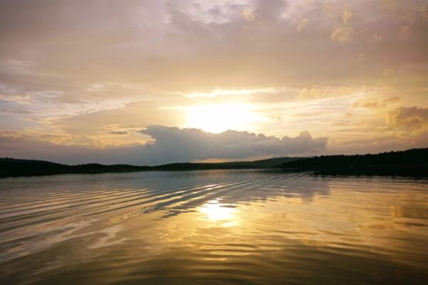 d6e395f1-49d7-472b-bc21-537633b5fc43